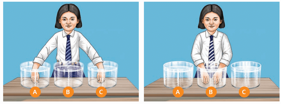 NCERT Based Activity: Temperature and its Measurement | Science for Class 6