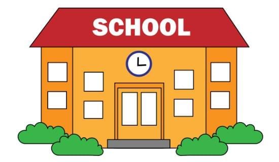 Worksheet: Essay Writing Practice - 1 | English Grammar Class 3