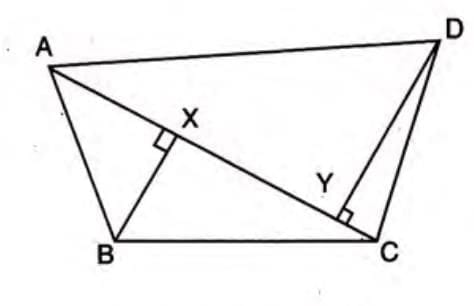 Area and Perimeter of Quadrilaterals
