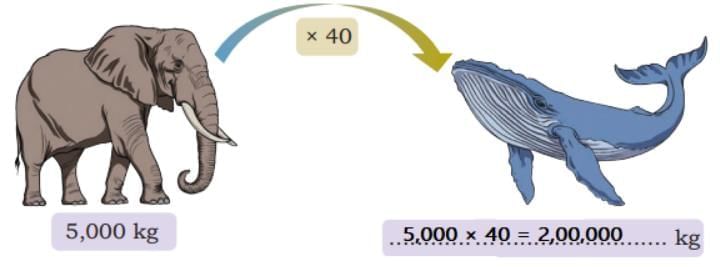 Weight and Capacity NCERT Solutions | Mathematics (Maths Mela) Class 5 - New NCERT