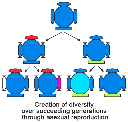 Overview: Heredity | Science Class 10