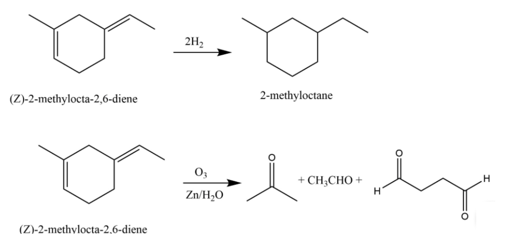 NCERT Exemplar: Hydrocarbons | Chemistry Class 11 - NEET