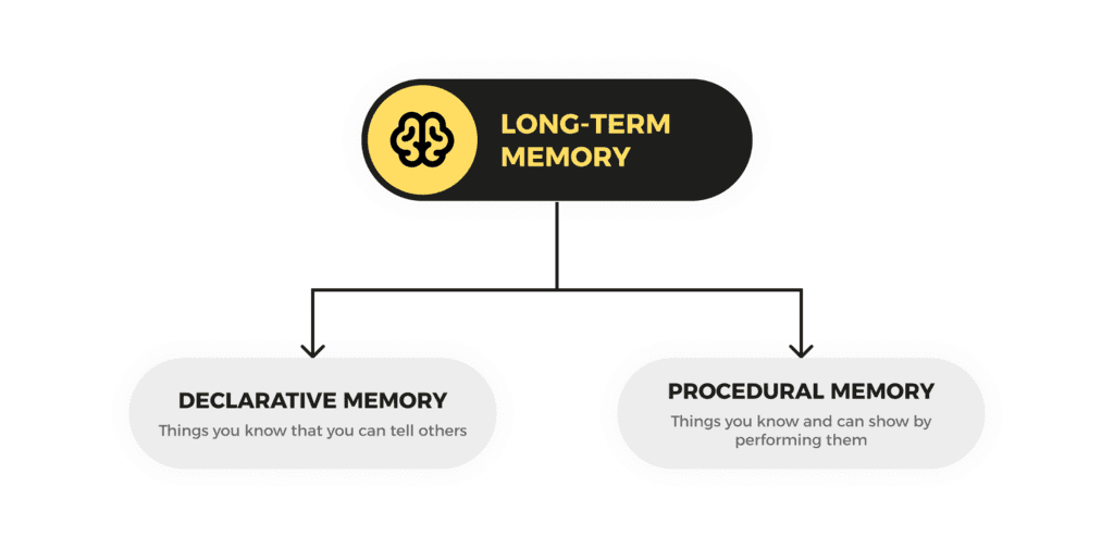 Assignment: Human Memory | Psychology Class 11 - Humanities/Arts