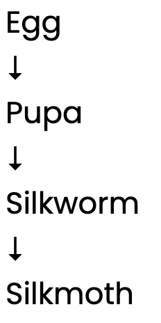 NCERT Exemplar Solutions: Reproduction in Animals | Science Class 8