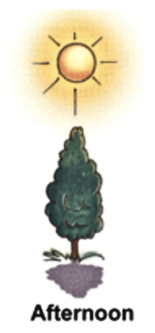 NCERT Solutions for Class 7 Science Chapter 11 Light: Shadows and Reflections