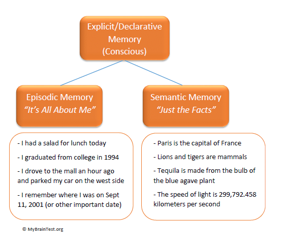 Assignment: Human Memory | Psychology Class 11 - Humanities/Arts