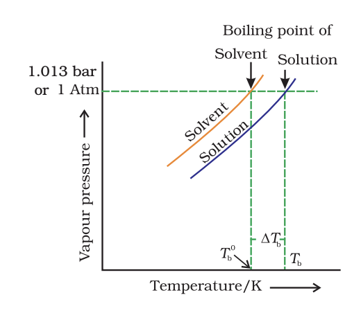 Revision Notes: Solutions | Chemistry Class 12 - NEET