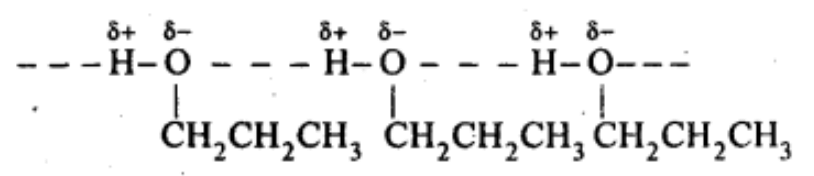 NCERT Solutions Class 12 Chemistry Chapter 7 - Alcohols, Phenols & Ethers