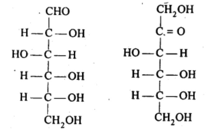 NCERT Solutions Class 11 Biology Chapter 9 - Biomolecules