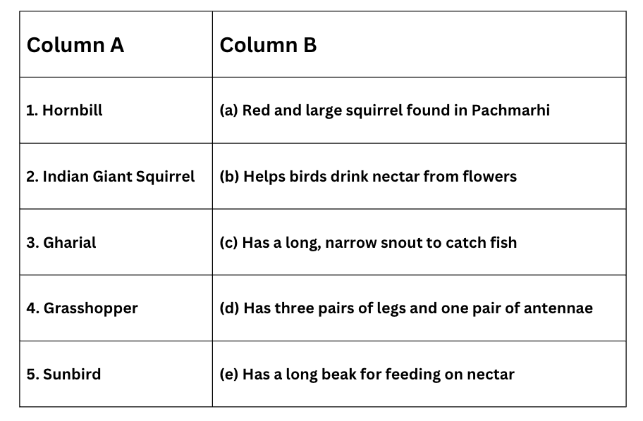 Class 4 EVS Worksheet Solutions Chapter 3 Nature Trail