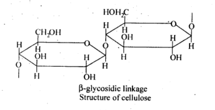 NCERT Solutions Class 11 Biology Chapter 9 - Biomolecules