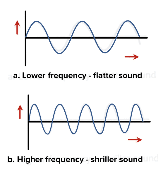 MCQ (Solution) - Sound | Science Class 8
