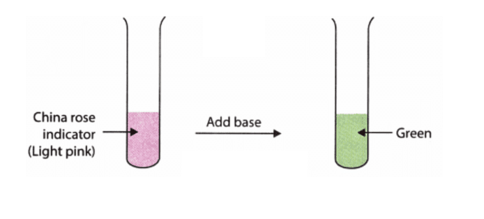 Class 7 Science Chapter 2 Very Short Question Answers - Exploring Substances: Acidic, Basic and Neutral