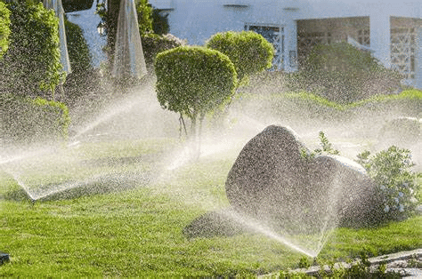 Assignment: Crop Production and Management | Science Class 8