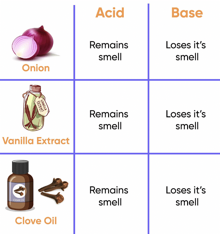 Exploring Substances: Acidic, Basic and Neutral Class 7 Notes Science Chapter 2 Free PDF