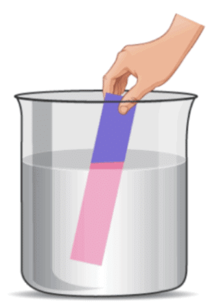 NCERT Solutions for Class 7 Science Chapter 2 Exploring Substances: Acidic, Basic and Neutral