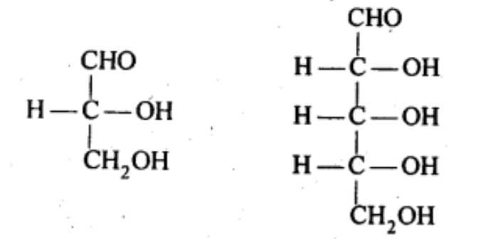 NCERT Solutions Class 11 Biology Chapter 9 - Biomolecules