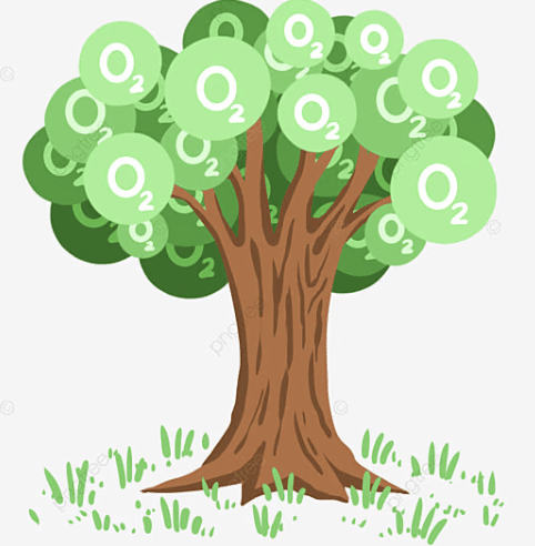 NCERT Solutions for Class 7 Science Chapter 10 Life Processes in Plants