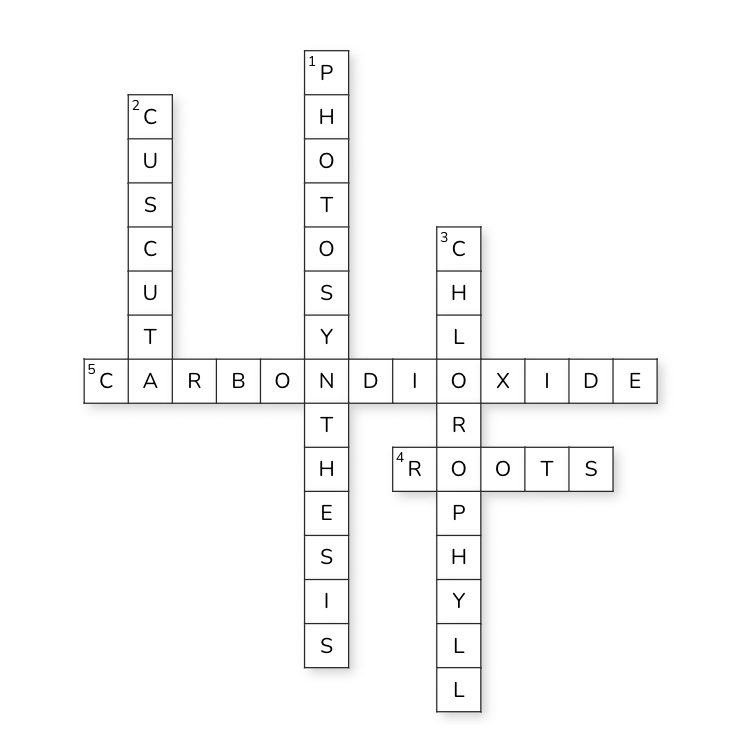 Class 7 Science Chapter 10 Assignment - Nutrition in Plants