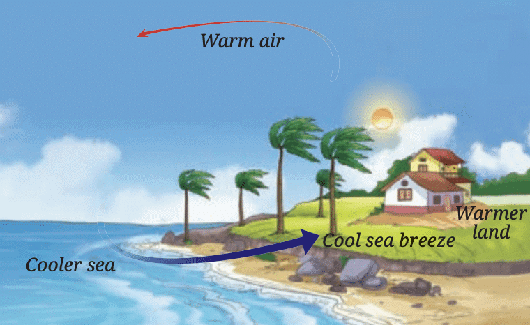 NCERT Solutions for Class 7 Science Chapter 7 Heat Transfer in Nature