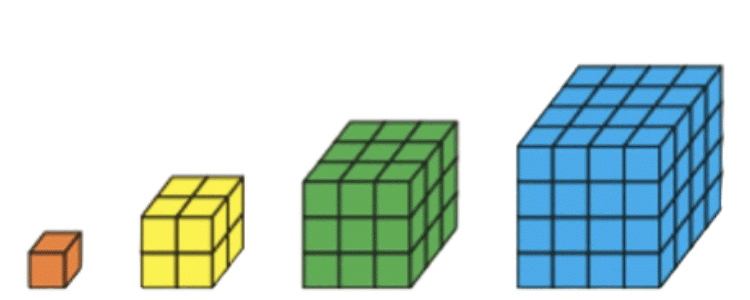 Worksheet: Patterns in Mathematics | Mathematics (Maths) Class 6
