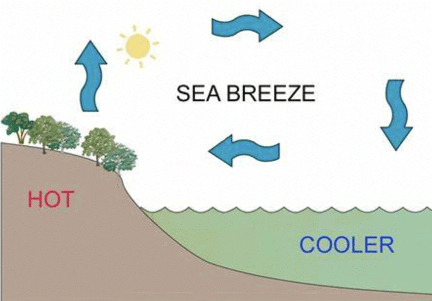 Class 7 Science Chapter 7 Very Short Question Answers - Heat Transfer in Nature