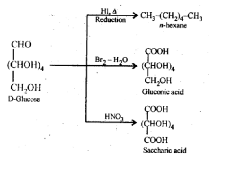 NCERT Solutions Class 11 Biology Chapter 9 - Biomolecules