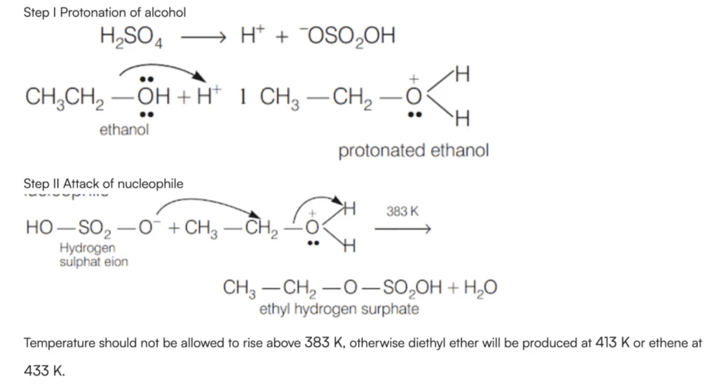 NCERT Exemplar: Hydrocarbons | Chemistry Class 11 - NEET