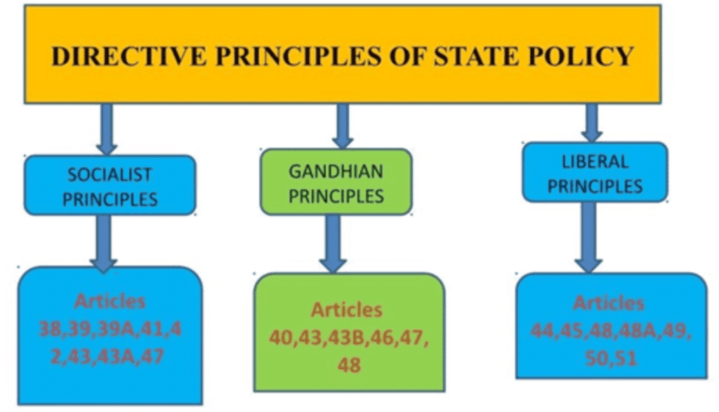 Assignment: Constitution - Why and How? | Political Science Class 11 - Humanities/Arts