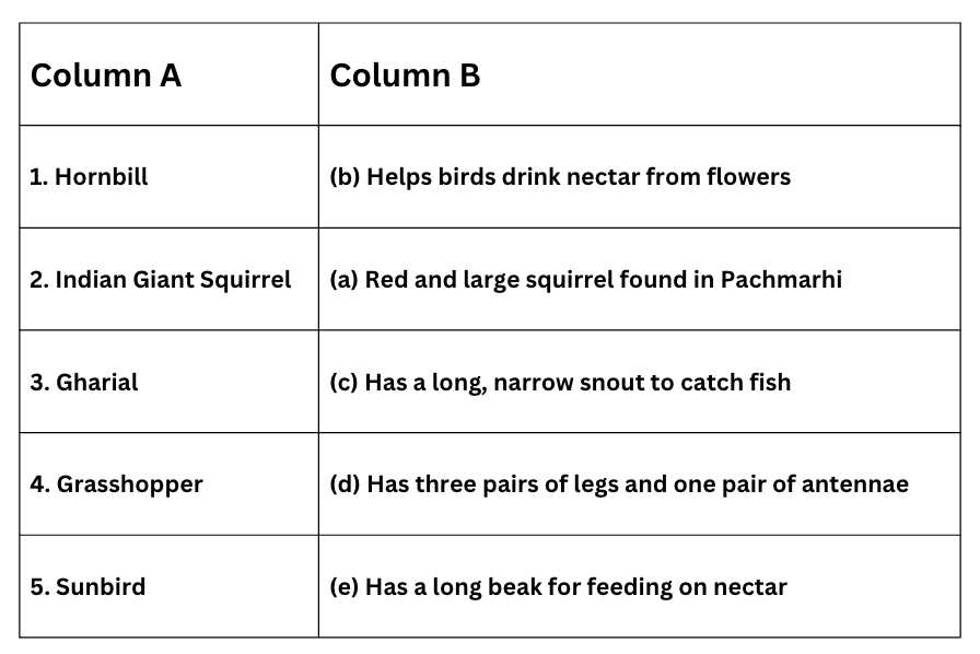 Class 4 EVS Worksheet Solutions Chapter 3 Nature Trail