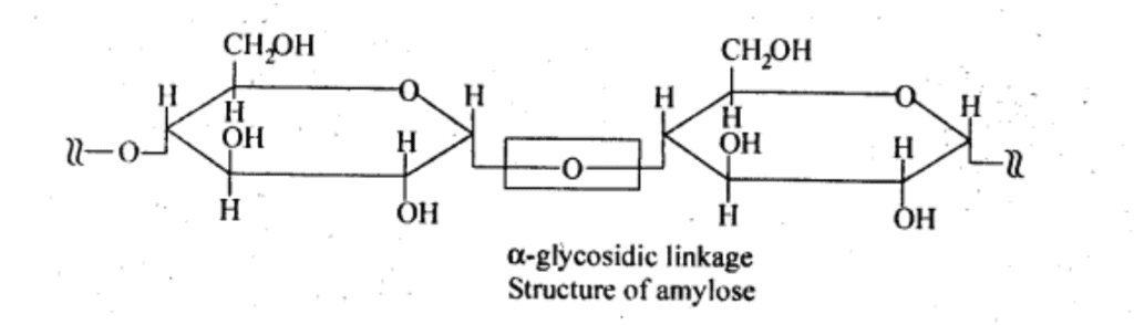 NCERT Solutions Class 11 Biology Chapter 9 - Biomolecules
