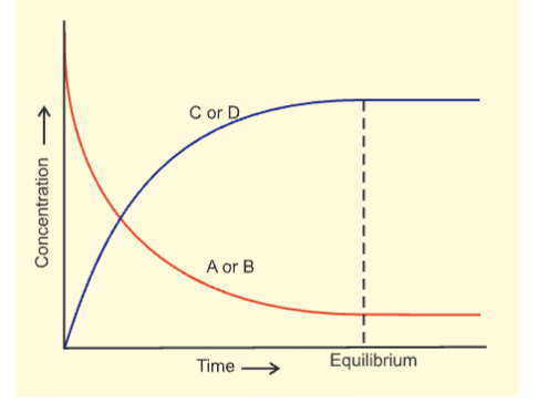 Revision Notes: Equilibrium | Chemistry Class 11 - NEET
