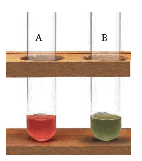 Exploring Substances: Acidic, Basic and Neutral Class 7 Notes Science Chapter 2 Free PDF