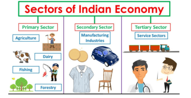 Class 10 Economics Chapter 2 Notes - Sectors of the Indian Economy