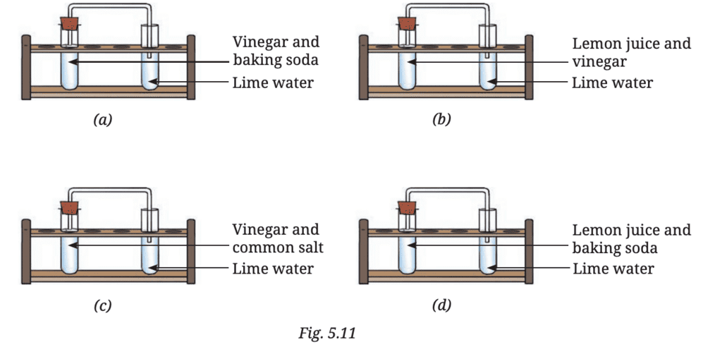 NCERT Solutions for Class 7 Science Chapter 5 Changes Around Us: Physical and Chemical