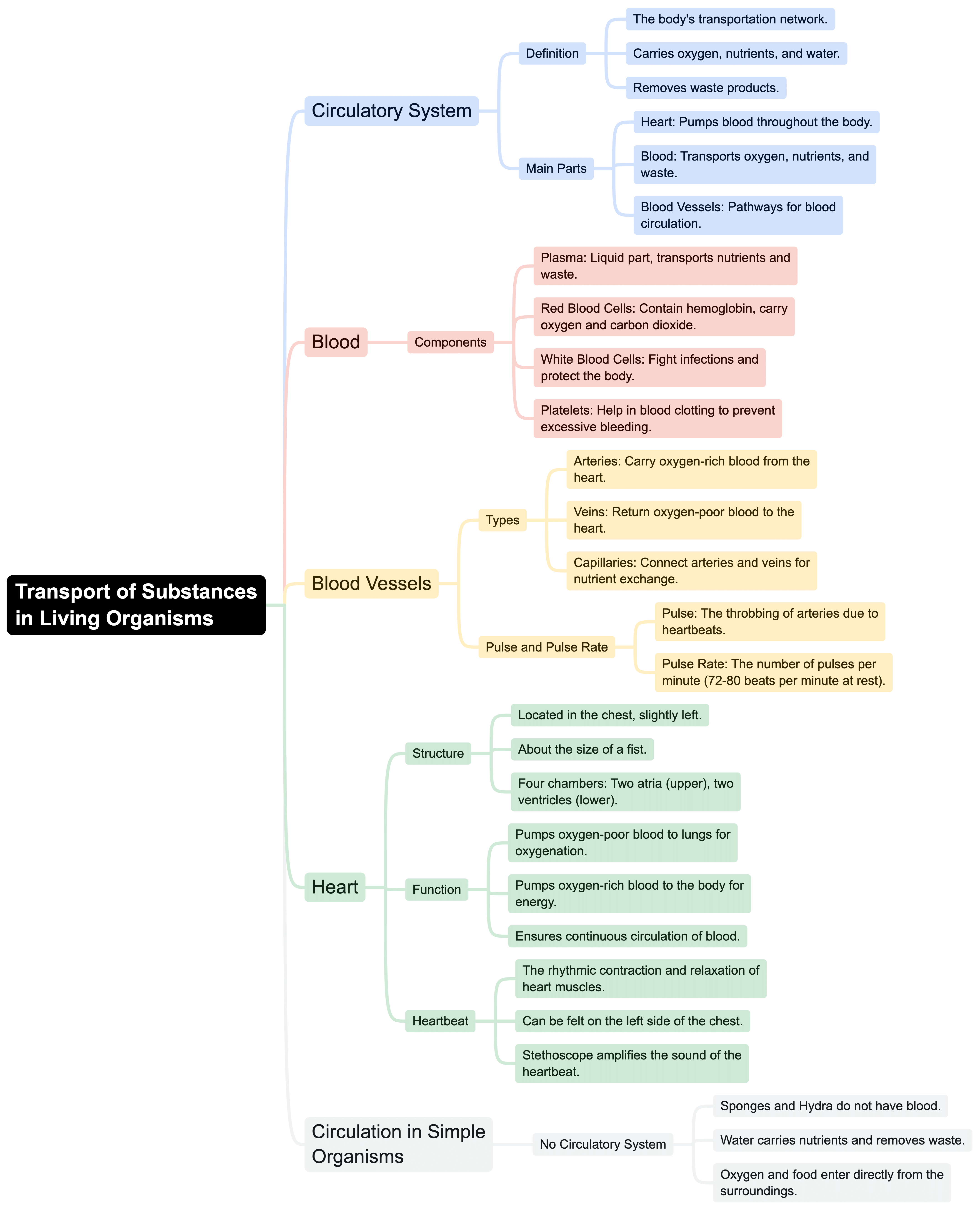 Mindmap: Transportation in Animals and Plants | Science Class 7 (Old NCERT)