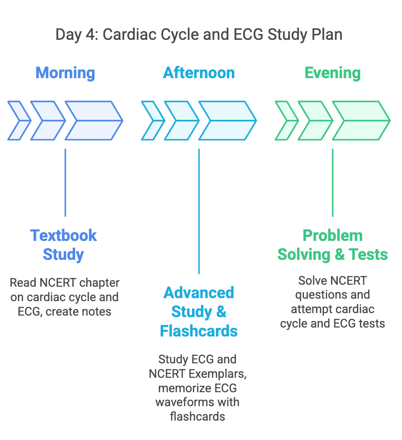 6 Days Study Plan: Body Fluids and Circulation | Biology Class 11 - NEET