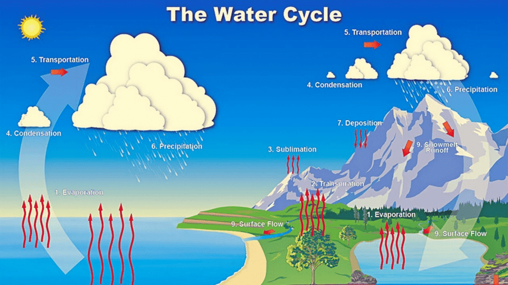 Class 7 Science Chapter 7 Worksheet Solutions - Heat Transfer in Nature