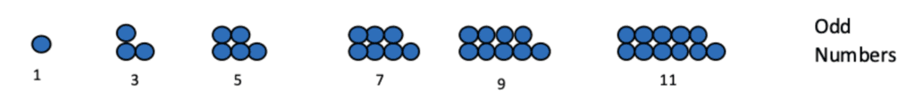 Worksheet Solution: Patterns in Mathematics | Mathematics (Maths) Class 6