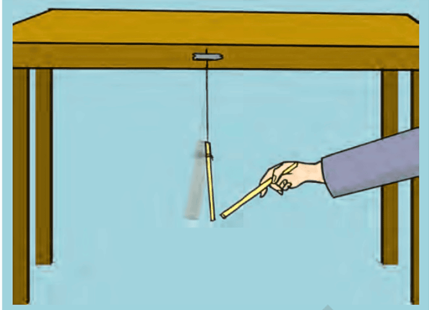 Force and Pressure Class 8 Notes Science Chapter 8