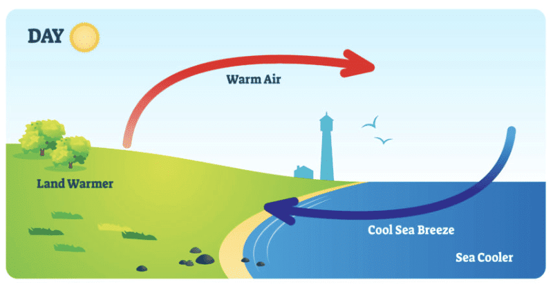 Class 7 Science Chapter 7 Question Answers - Heat Transfer in Nature
