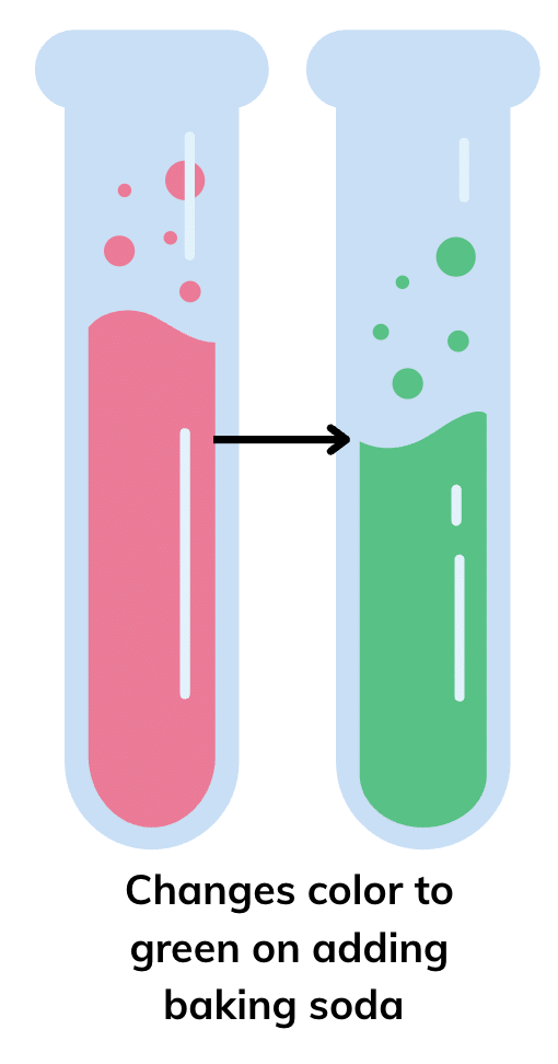NCERT Solutions for Class 7 Science Chapter 2 Exploring Substances: Acidic, Basic and Neutral