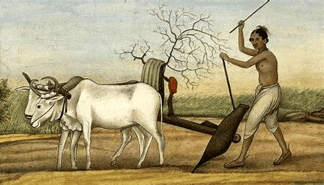 Assignment: Tracing Changes Through a Thousand Years | Social Studies (SST) Class 7 (Old NCERT)