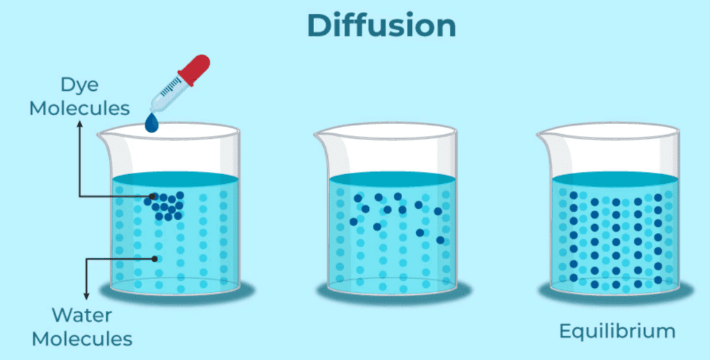Assignment: Matter in Our Surroundings | Science Class 9
