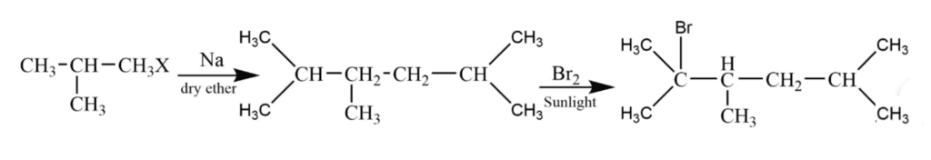 NCERT Exemplar: Hydrocarbons | Chemistry Class 11 - NEET
