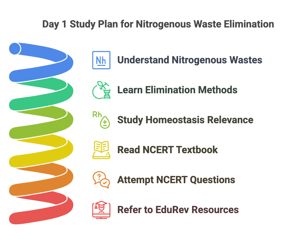4 Days Study Plan: Excretory Products and their Elimination | Biology Class 11 - NEET