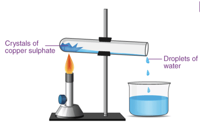 NCERT Solutions for Class 7 Science - Physical and Chemical Changes