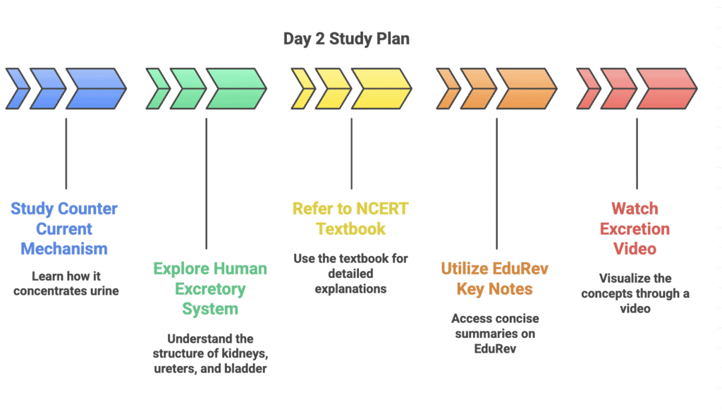 4 Days Study Plan: Excretory Products and their Elimination | Biology Class 11 - NEET