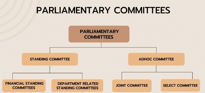 Assignment: Legislature | Political Science Class 11 - Humanities/Arts