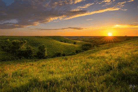 CBSE Worksheet Class 4 EVS Chapter 9 - Different Lands, Different Lives Free Download